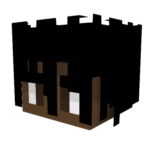 LELEGIN Minecraft avatar head, 3D render