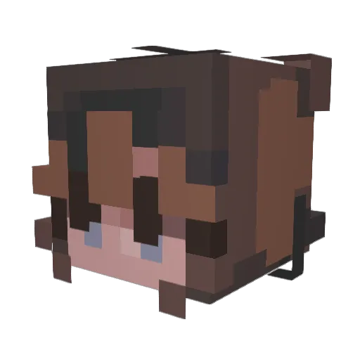 LELLAL65 Minecraft avatar head, 3D render