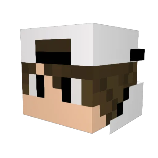 LEM0NHOPE Minecraft avatar head, 3D render