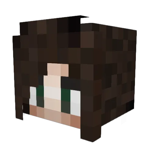LEMONYSPARKS Minecraft avatar head, 3D render