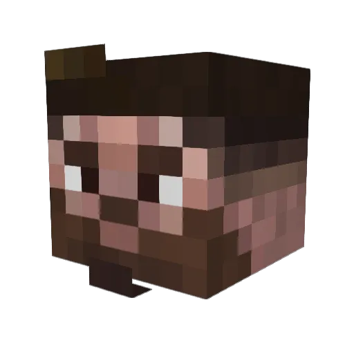 LEN5 Minecraft avatar head, 3D render