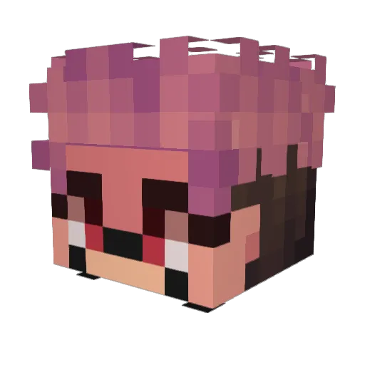 LEO12311 Minecraft avatar head, 3D render