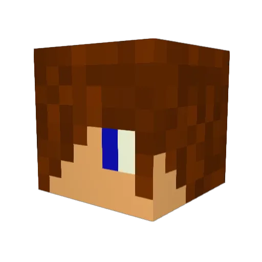 LEONICOLAS51 Minecraft avatar head, 3D render