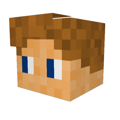 LEOPOLD_02 Minecraft avatar head, 3D render
