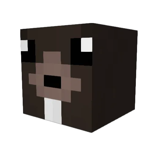 LEOXRE226 Minecraft avatar head, 3D render