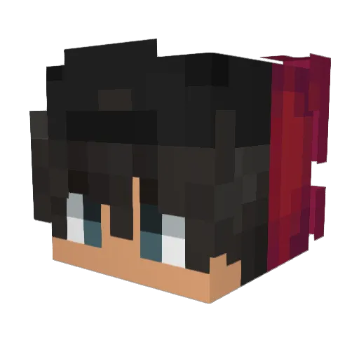 LERO_03 Minecraft avatar head, 3D render