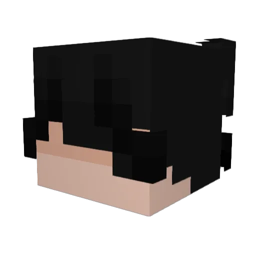 LES2101 Minecraft avatar head, 3D render