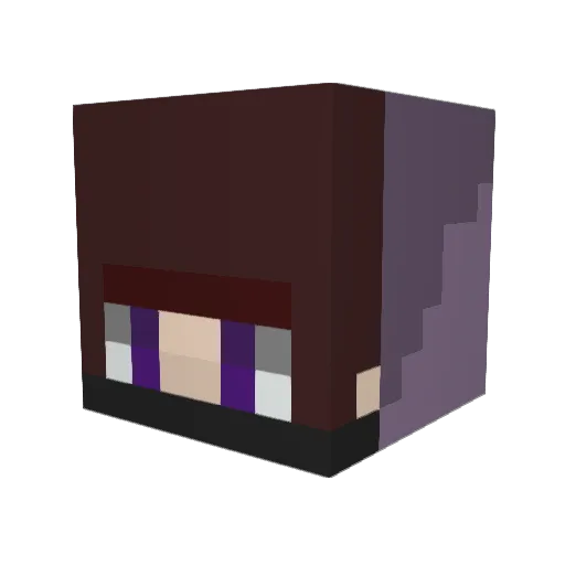 LETAN1216 Minecraft avatar head, 3D render