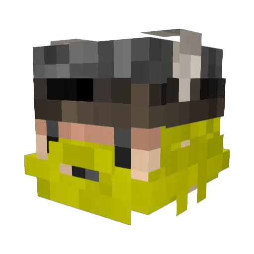 LETS_DO_THIS Minecraft avatar head, 3D render