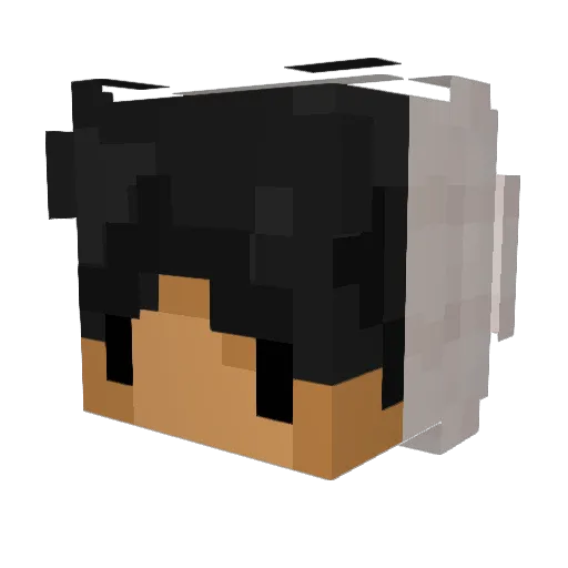LEUWAS Minecraft avatar head, 3D render