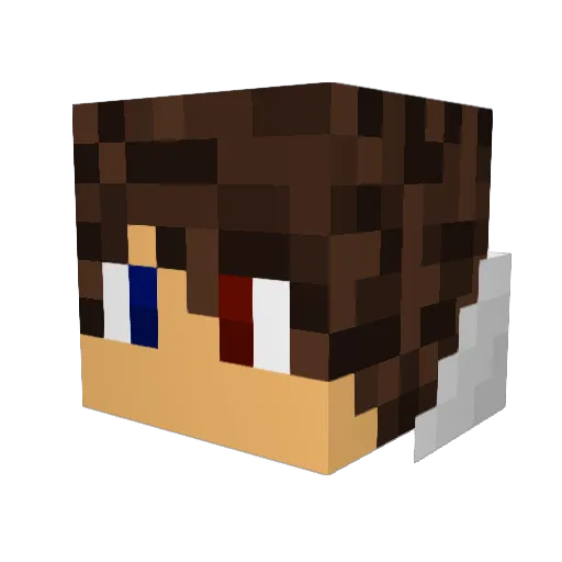 LEXER21 Minecraft avatar head, 3D render