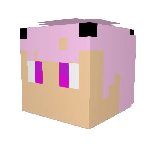 LEYTA Minecraft avatar head, 3D render