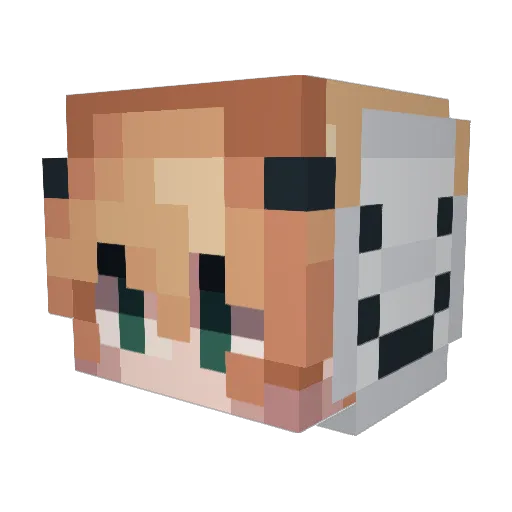 LFA14 Minecraft avatar head, 3D render