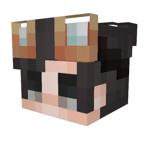 LFDY_ Minecraft avatar head, 3D render