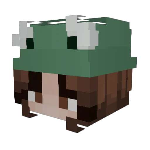 LFHANDLE_ Minecraft avatar head, 3D render