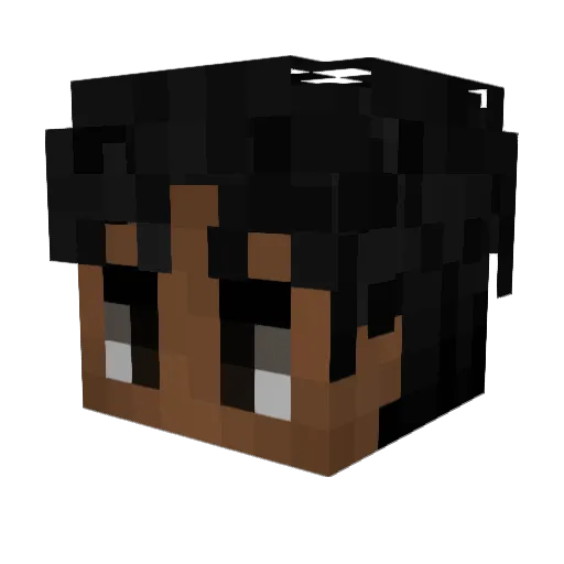 LFSD Minecraft avatar head, 3D render