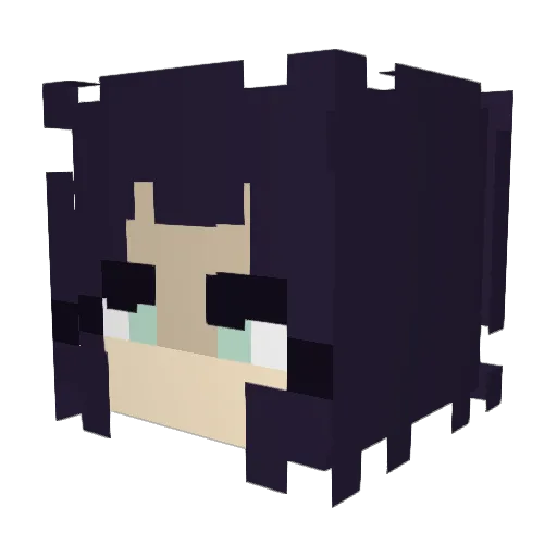 LFTN_13 Minecraft avatar head, 3D render