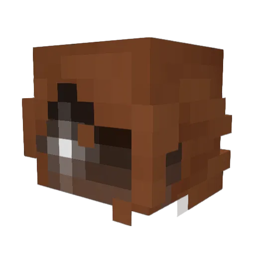 LFuzzy13 Minecraft avatar head, 3D render