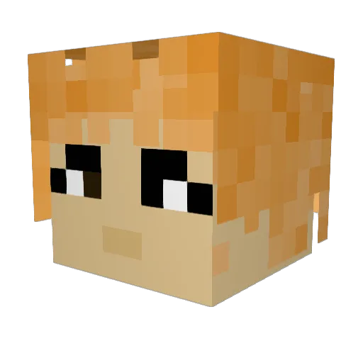 LGCdishwasher Minecraft avatar head, 3D render