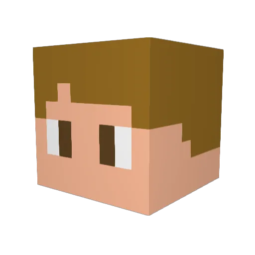 LGCraft04 Minecraft avatar head, 3D render