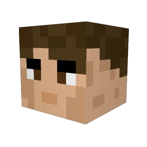 LGGGG1 Minecraft avatar head, 3D render