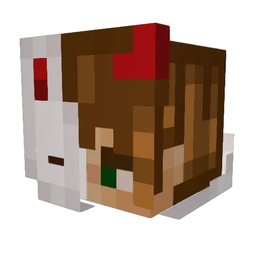 LGKing101011 Minecraft avatar head, 3D render