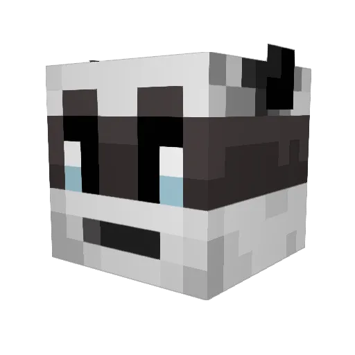 LGPlayer11 Minecraft avatar head, 3D render