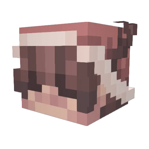 LGTVcommunity Minecraft avatar head, 3D render