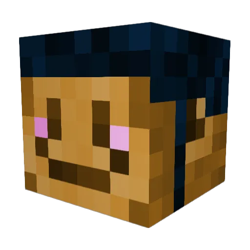 LH1234HL Minecraft avatar head, 3D render