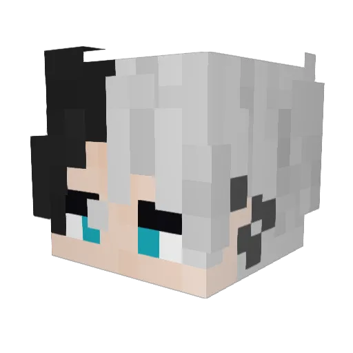 LHFVNTFNH Minecraft avatar head, 3D render