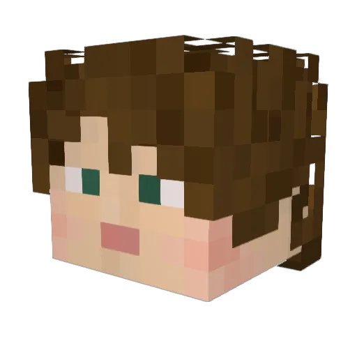 LIDDELXU Minecraft avatar head, 3D render