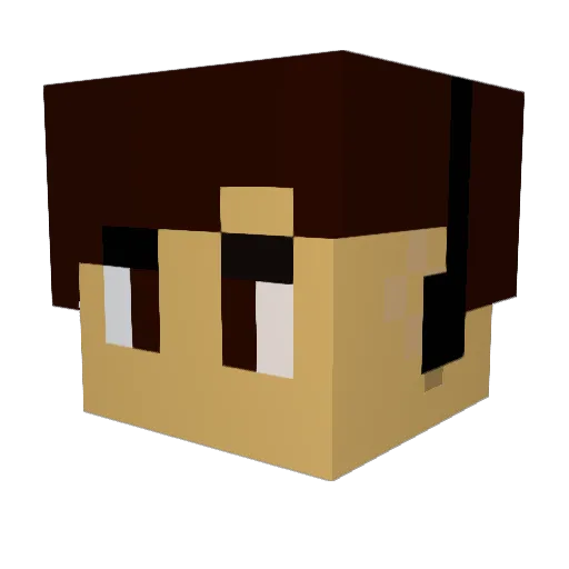 LIER16 Minecraft avatar head, 3D render
