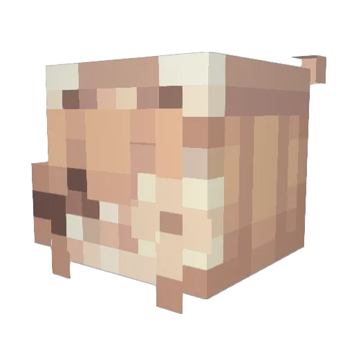 LILLYBLOCK Minecraft avatar head, 3D render