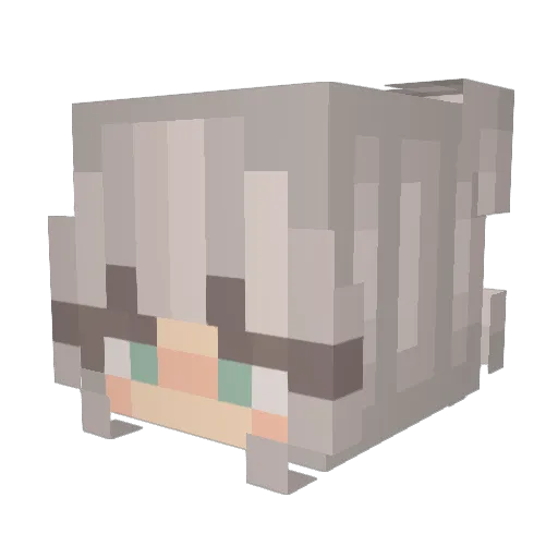 LILNUTSFATWElNER Minecraft avatar head, 3D render
