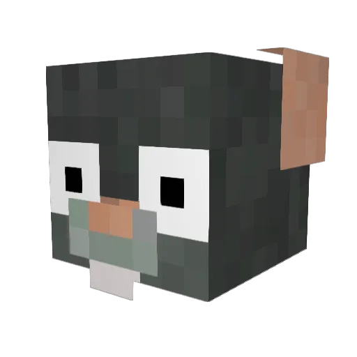 LIL_RAT9 Minecraft avatar head, 3D render