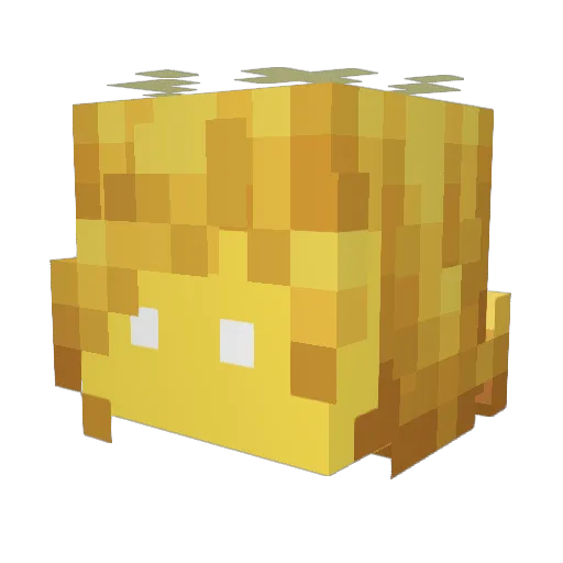 LIL_RHINO_ Minecraft avatar head, 3D render