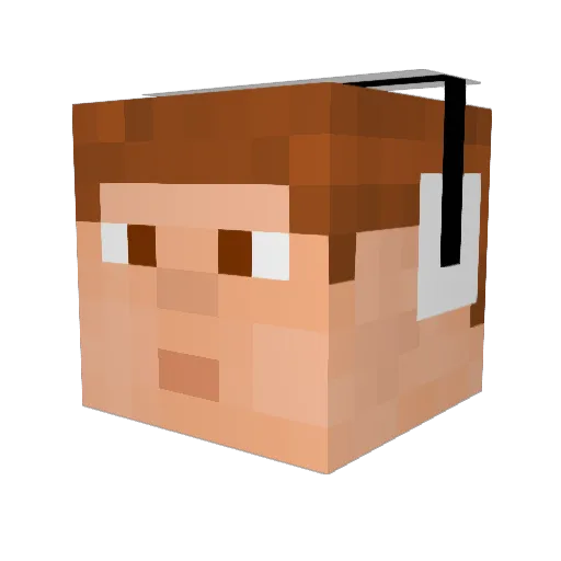 LIL_T000 Minecraft avatar head, 3D render