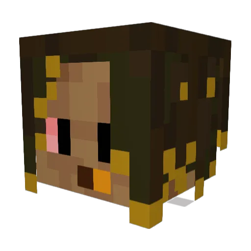LIL_XANNY Minecraft avatar head, 3D render
