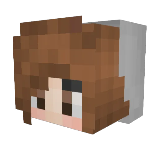 LIMA_2921 Minecraft avatar head, 3D render