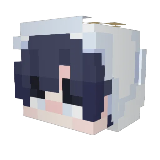 LINCI2 Minecraft avatar head, 3D render