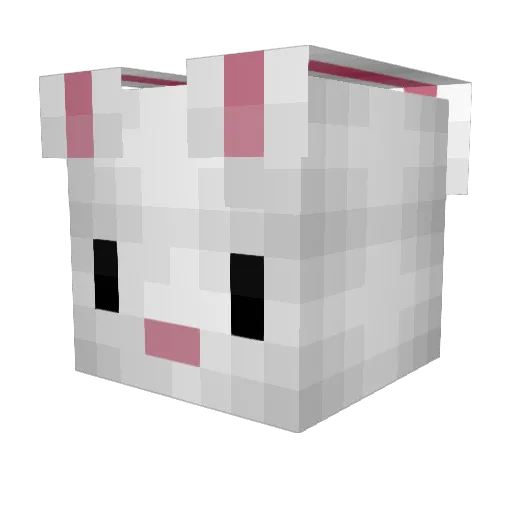 LINDSKITTY Minecraft avatar head, 3D render