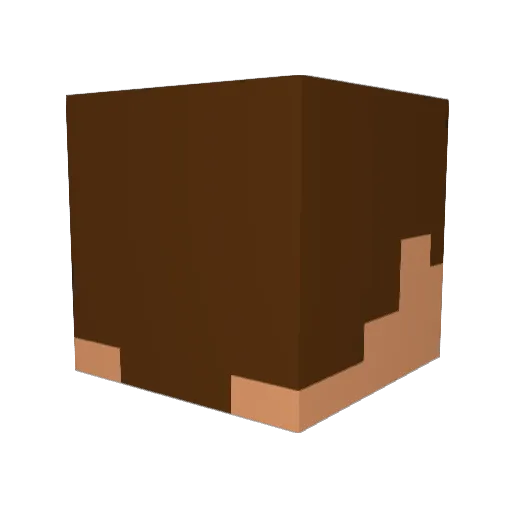 LINKG6 Minecraft avatar head, 3D render