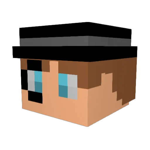 LINSANITY_16 Minecraft avatar head, 3D render