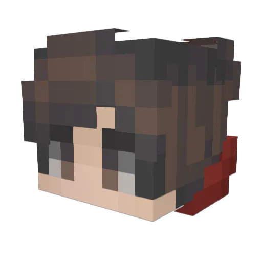 LINSCOF Minecraft avatar head, 3D render