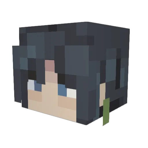 LIN_Witty Minecraft avatar head, 3D render