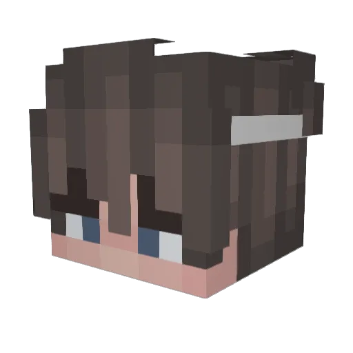 LIOP0608 Minecraft avatar head, 3D render