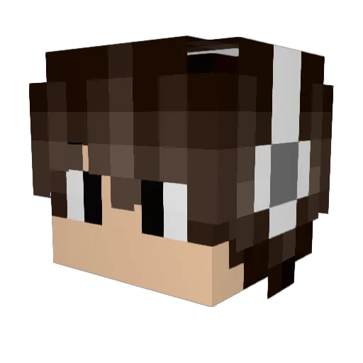 LITiang Minecraft avatar head, 3D render