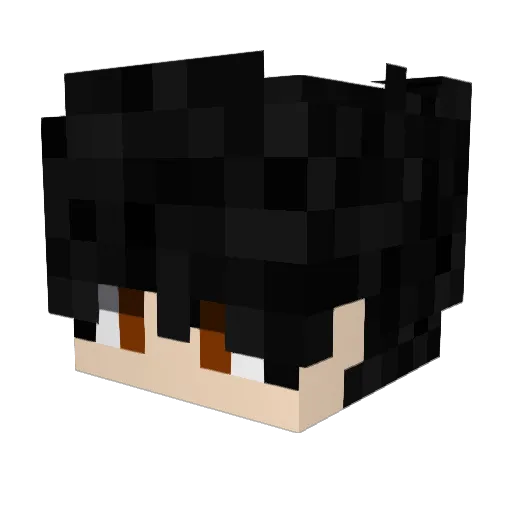 LIUGELI Minecraft avatar head, 3D render