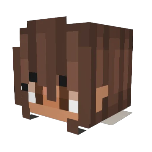 LIVANDAAL Minecraft avatar head, 3D render