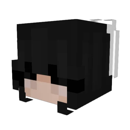 LIZKOOK_123 Minecraft avatar head, 3D render